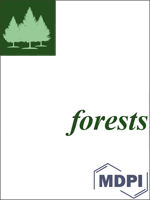 Forests